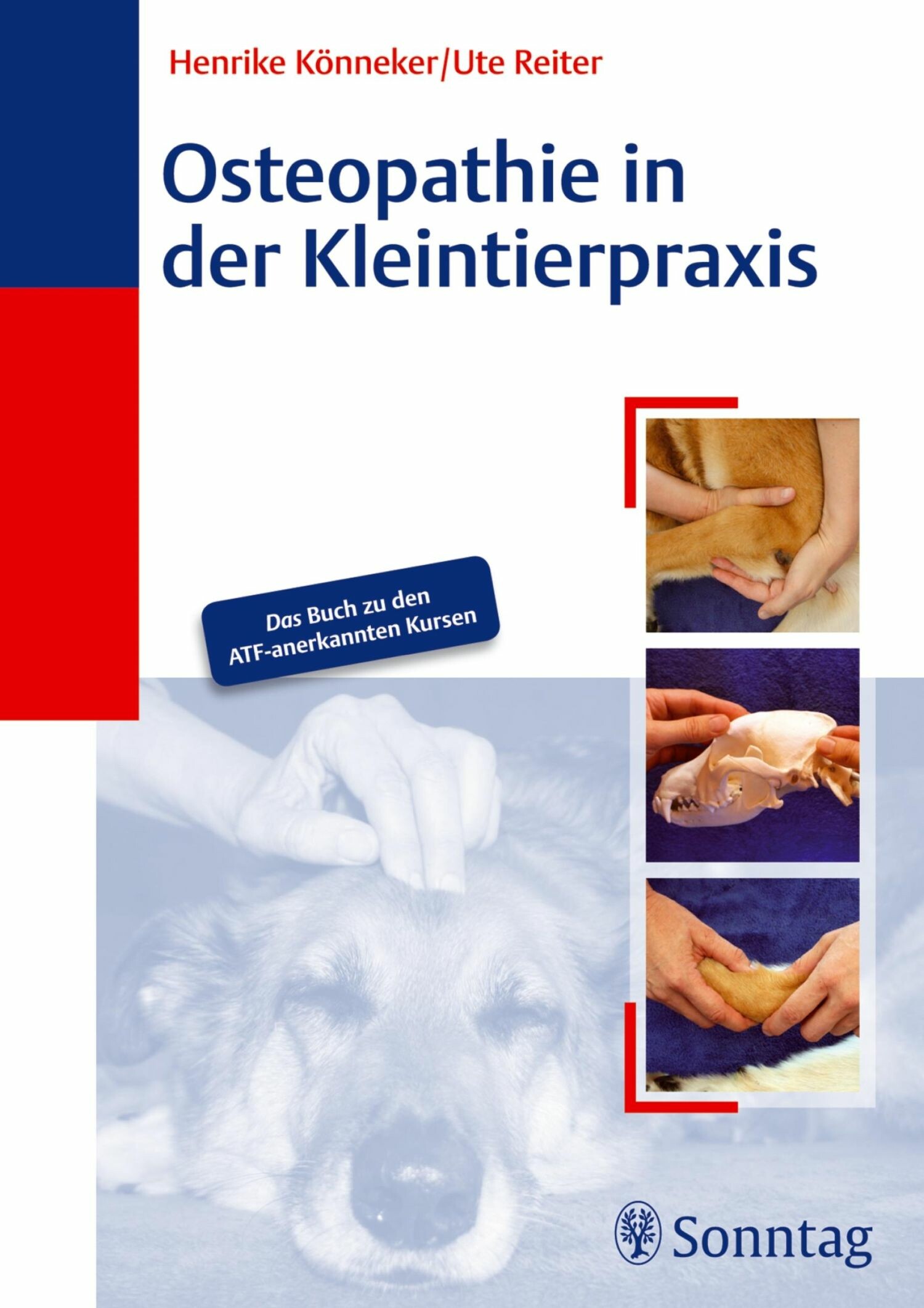 Cover Osteopathie in der Kleintierpraxis