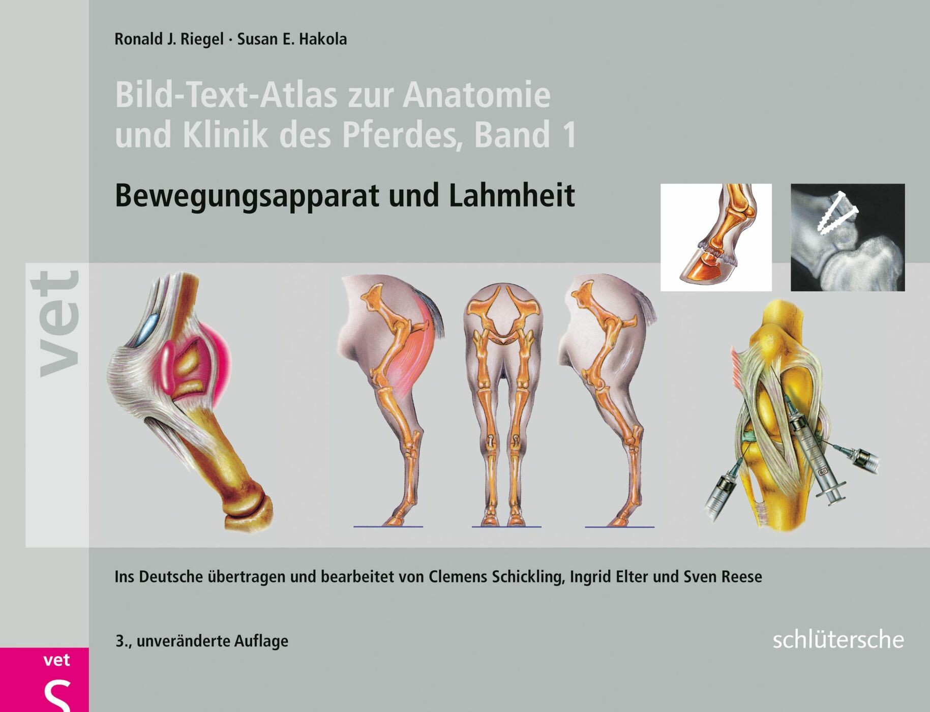 Cover Bild-Text-Atlas zur Anatomie und Klinik des Pferdes