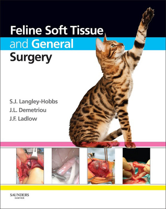 Cover Feline Soft Tissue and General Surgery