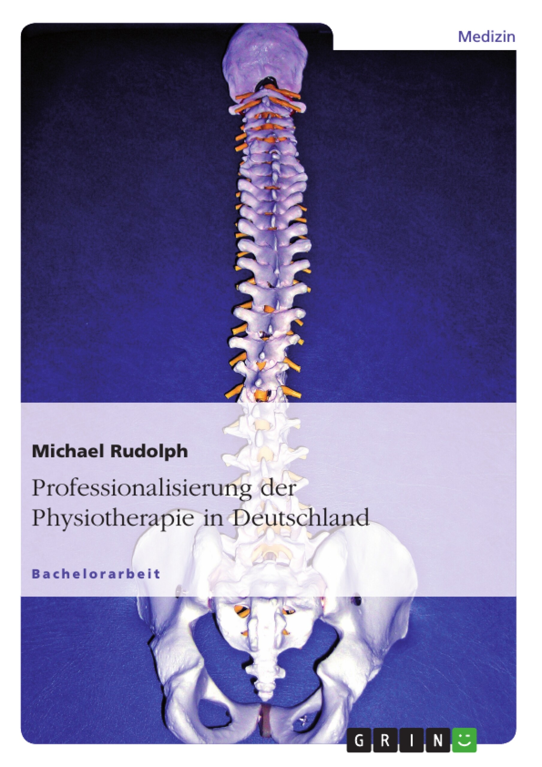 Professionalisierung der Physiotherapie in Deutschland