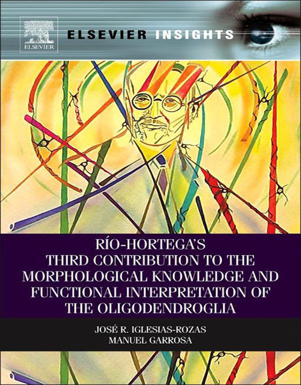 Rio-Hortega's Third Contribution to the Morphological Knowledge and Functional Interpretation of the Oligodendroglia