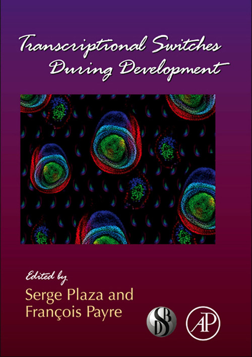 Cover Transcriptional Switches During Development