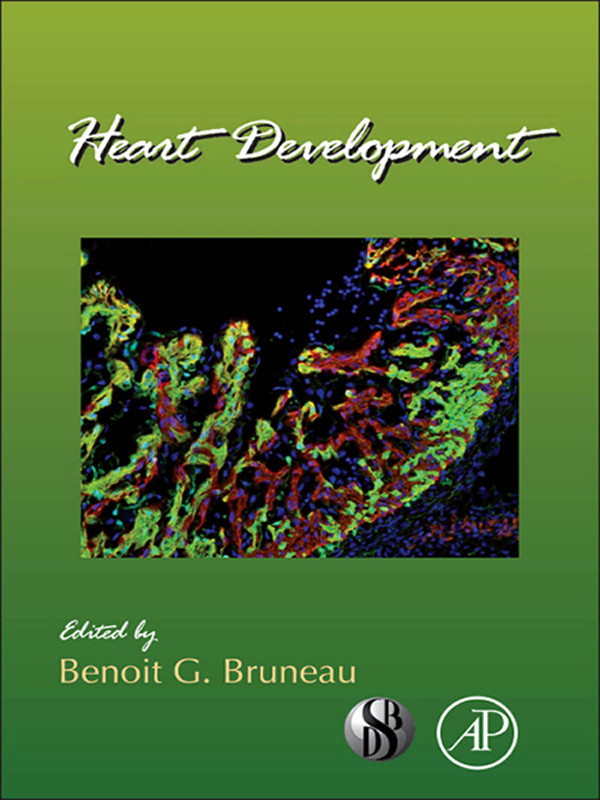Cover Heart Development