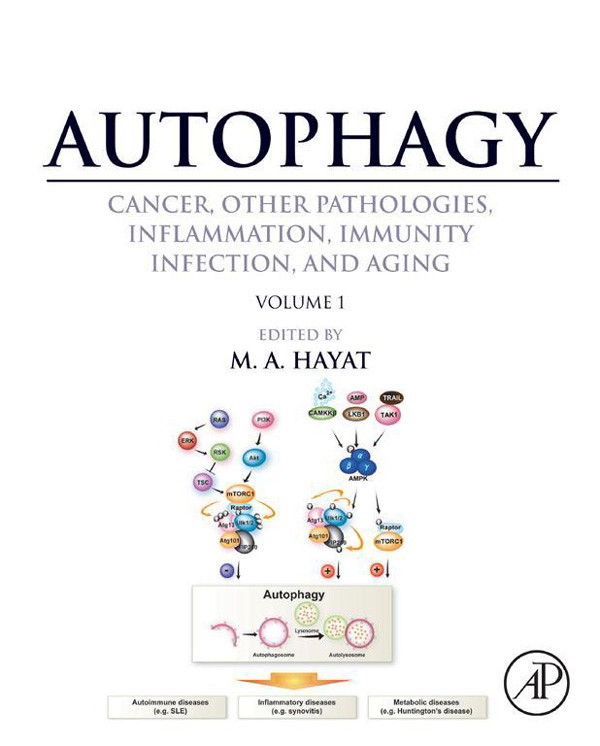 Cover Autophagy: Cancer, Other Pathologies, Inflammation, Immunity, Infection, and Aging