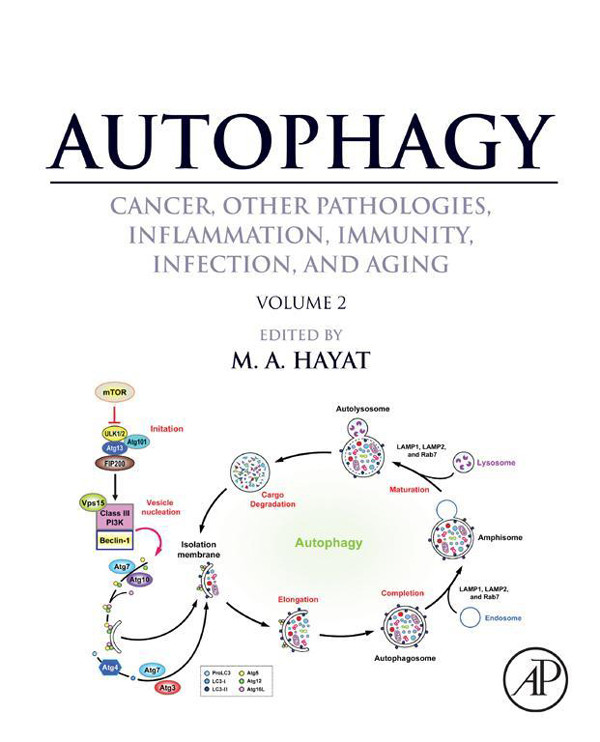 Cover Autophagy: Cancer, Other Pathologies, Inflammation, Immunity, Infection, and Aging