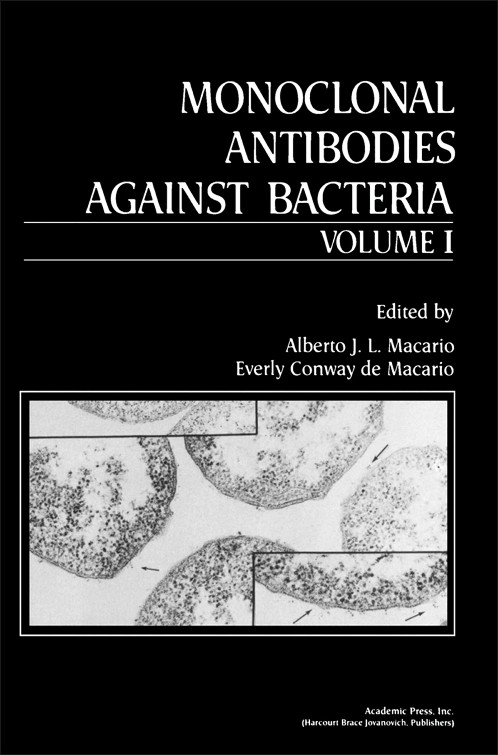 Cover Monoclonal Antibodies against Bacteria