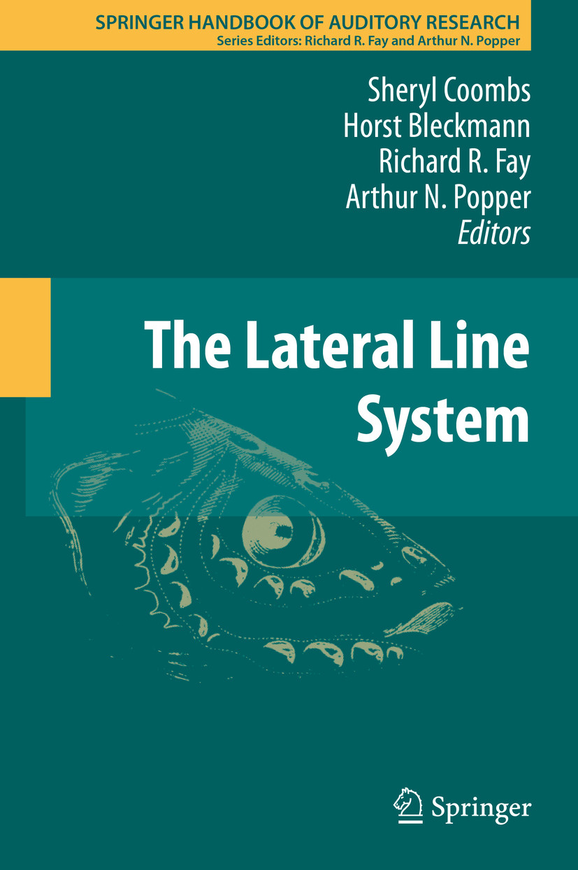 The Lateral Line System