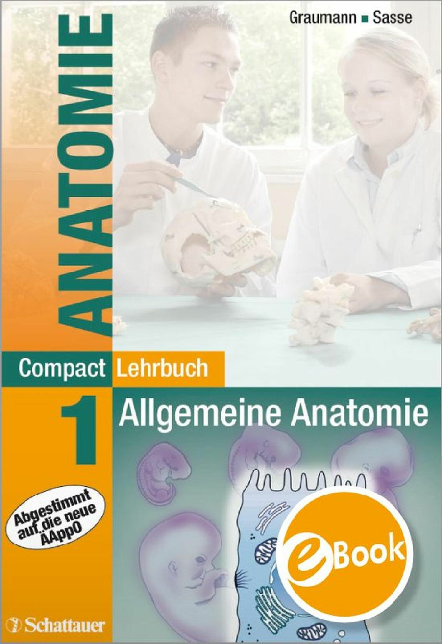Cover Compact Lehrbuch Anatomie 1