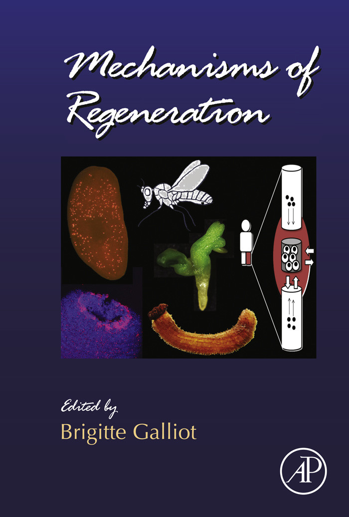 Cover Mechanisms of Regeneration
