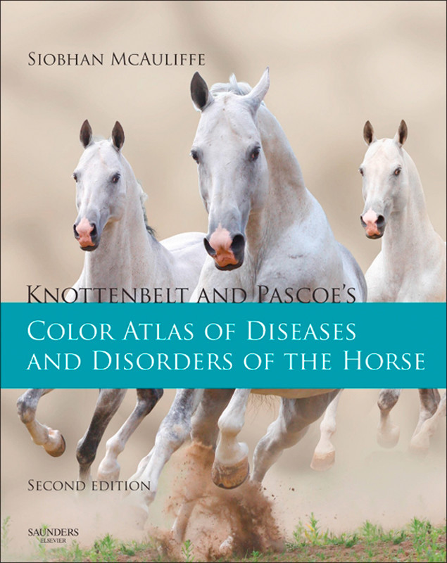 Cover Knottenbelt and Pascoe's Color Atlas of Diseases and Disorders of the Horse