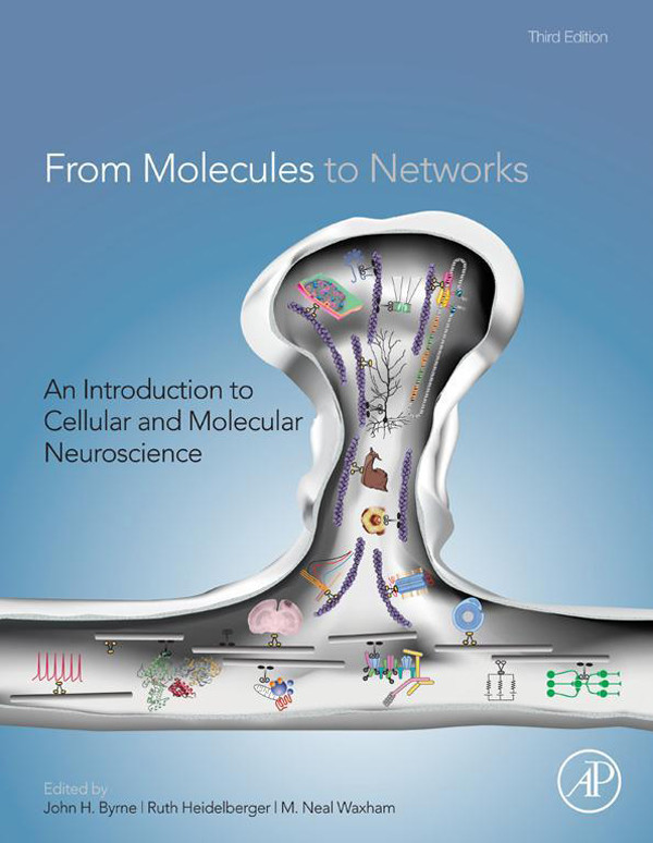 Cover From Molecules to Networks