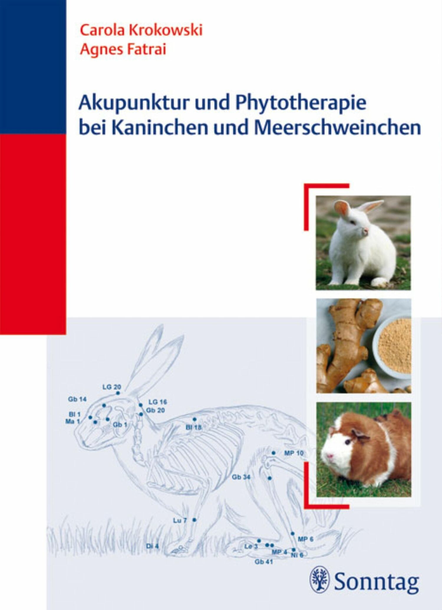 Akupunktur und Phytotherapie bei Kaninchen und Meerschweinchen