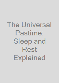 The Universal Pastime: Sleep and Rest Explained