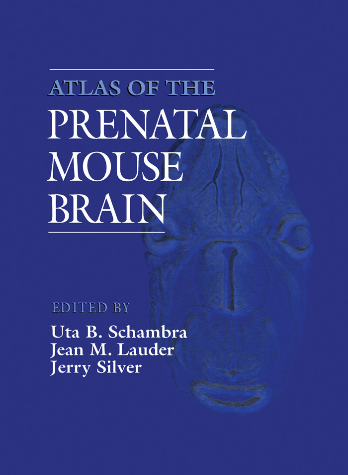 Atlas of the Prenatal Mouse Brain