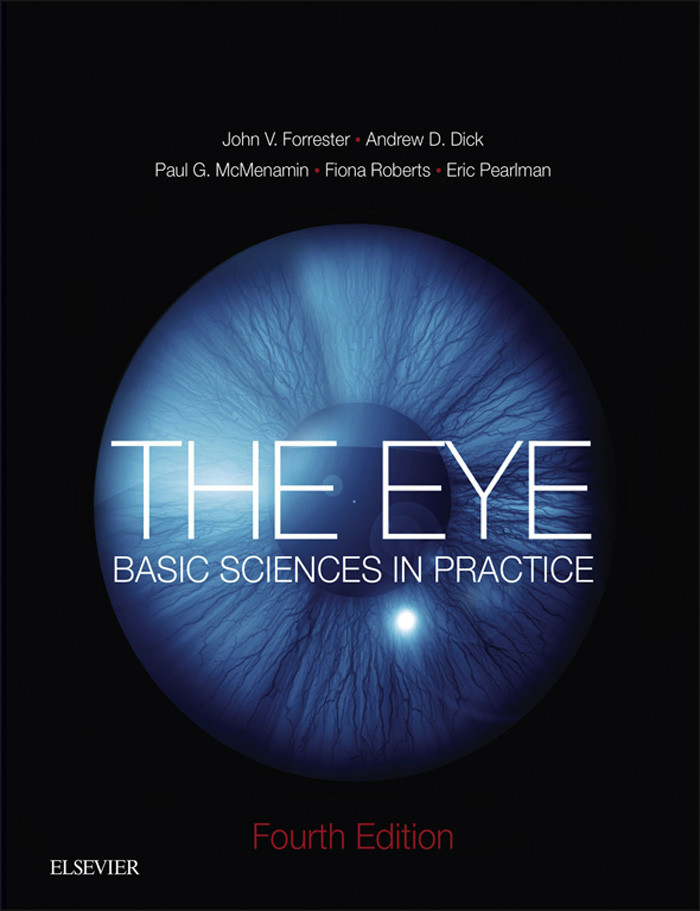 Cover The Eye E-Book