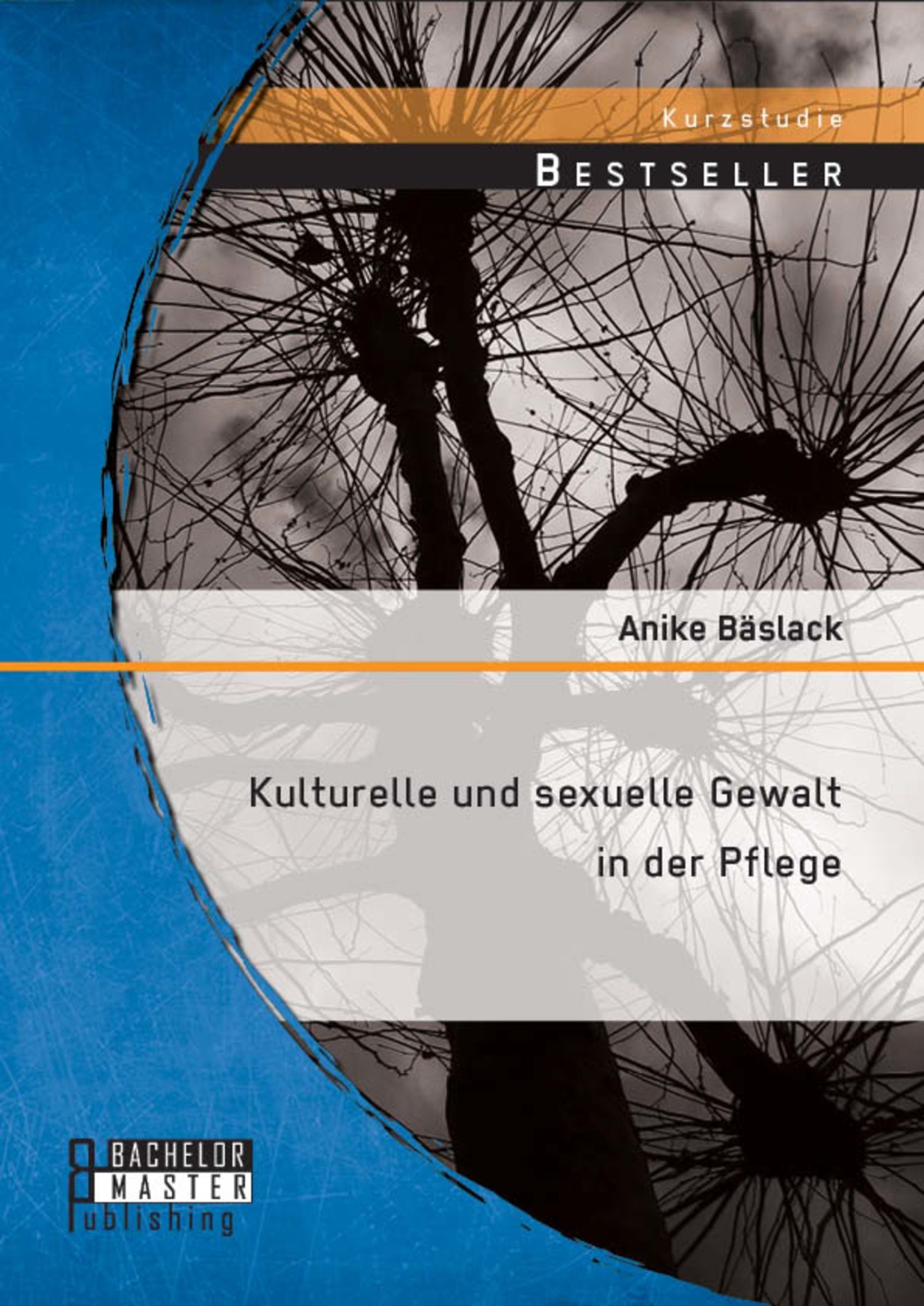 Cover Kulturelle und sexuelle Gewalt in der Pflege