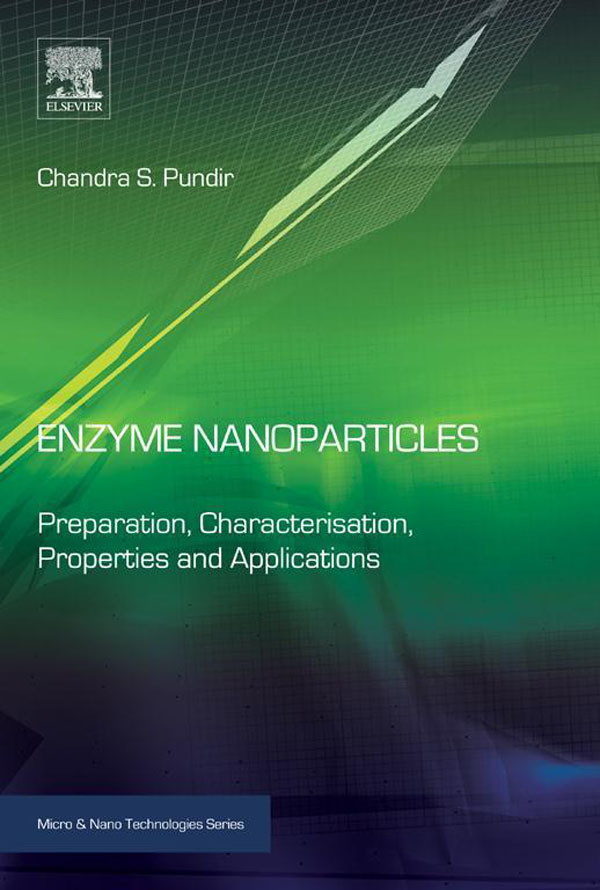 Cover Enzyme Nanoparticles