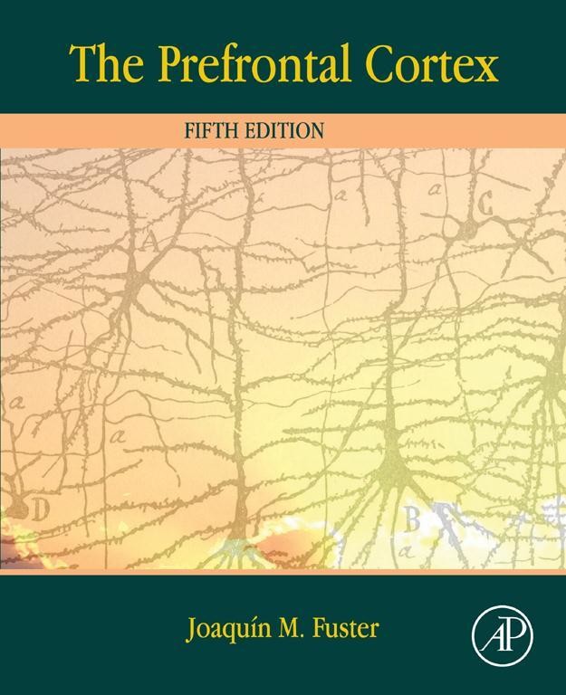 Cover The Prefrontal Cortex