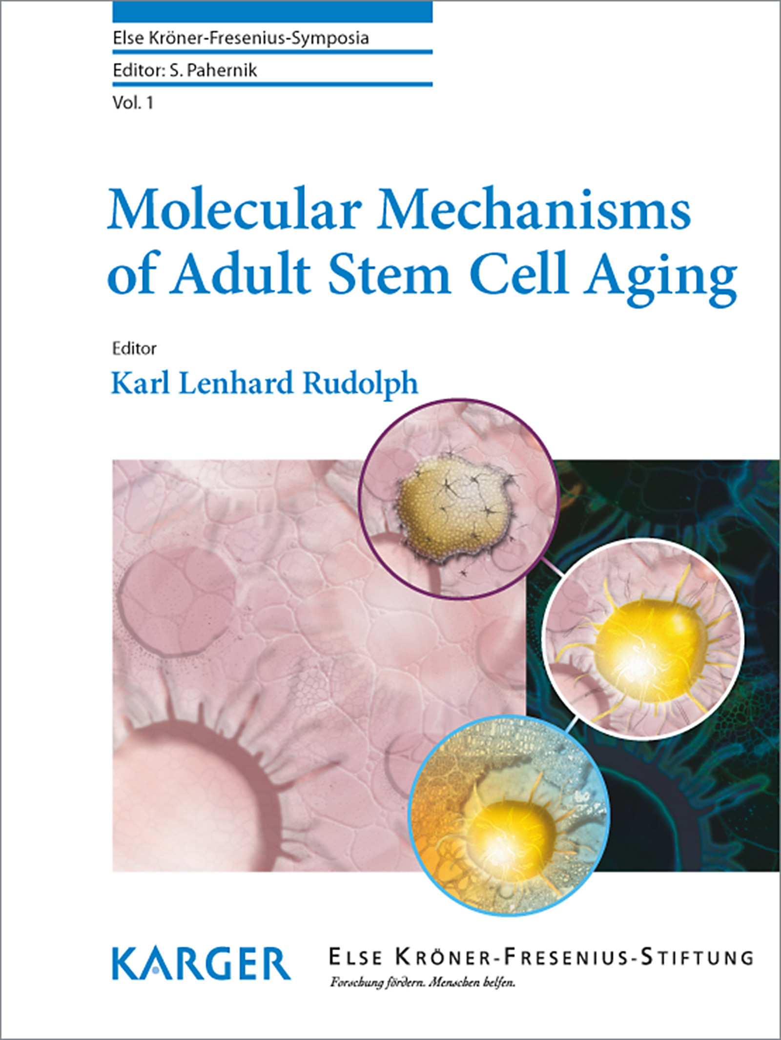 Cover Molecular Mechanisms of Adult Stem Cell Aging