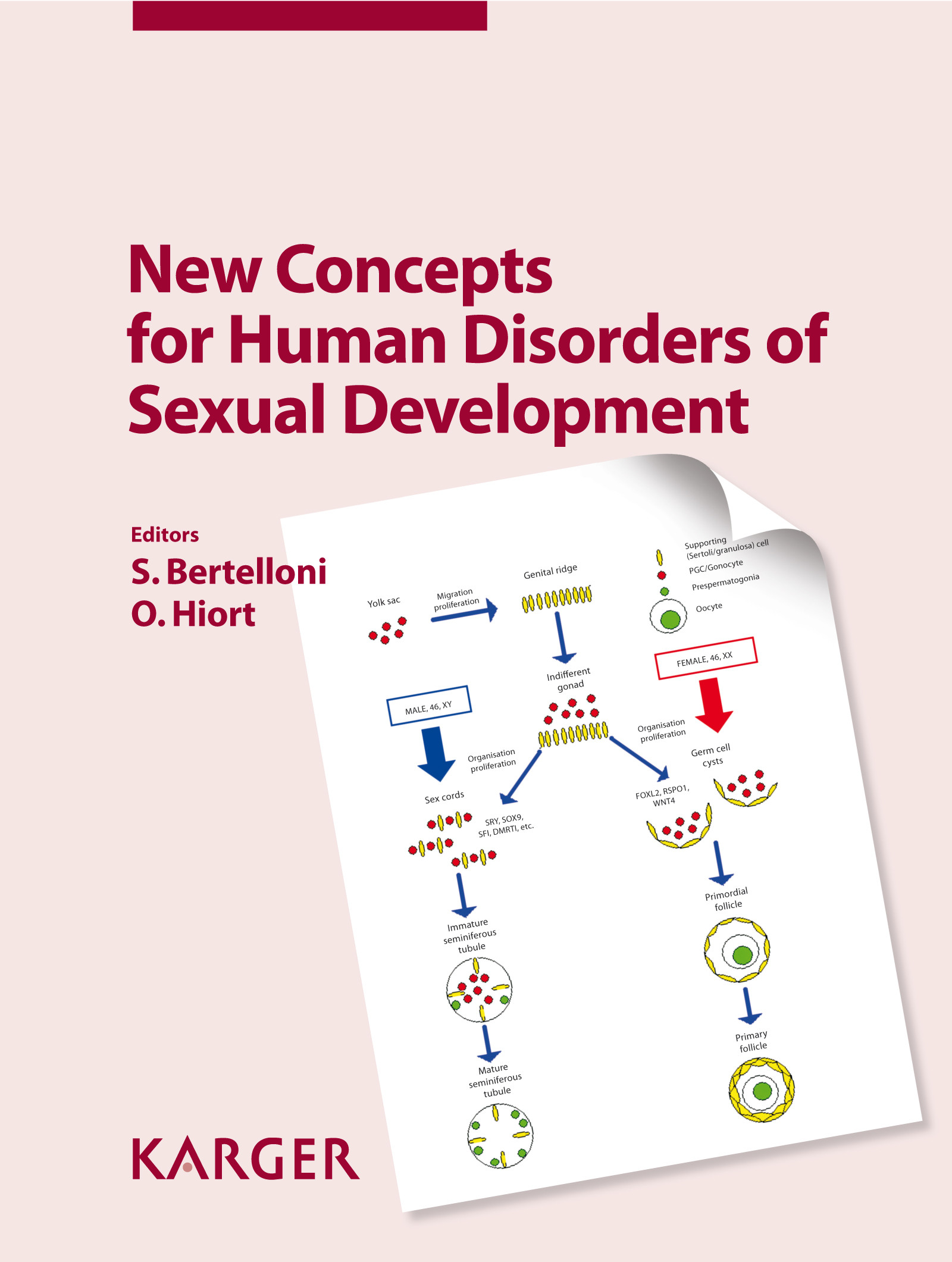 Cover New Concepts for Human Disorders of Sexual Development