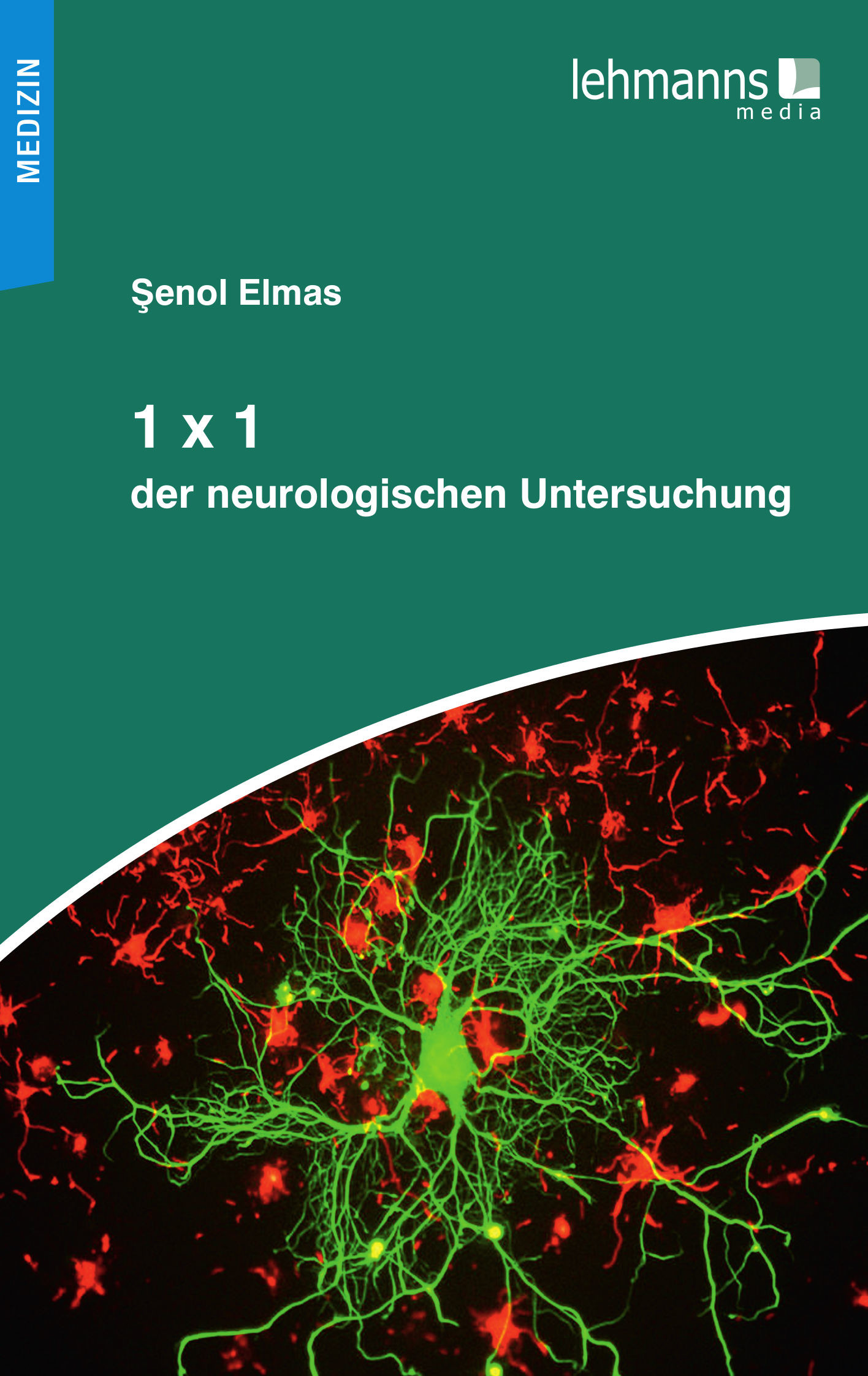 Cover 1x1 der neurologischen Untersuchung