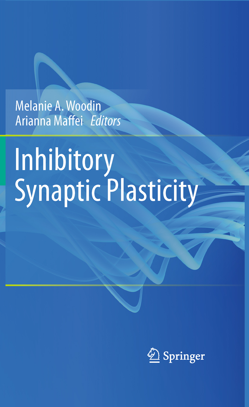 Cover Inhibitory Synaptic Plasticity