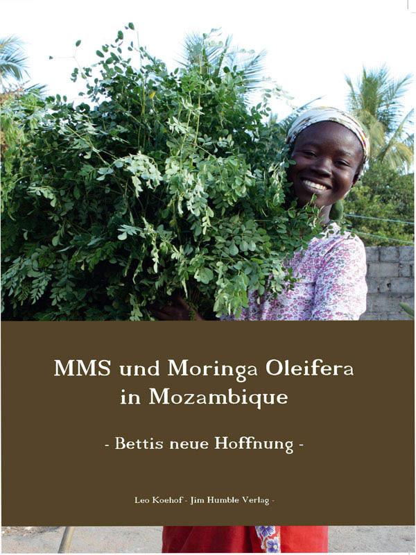 Cover MMS und Moringa oleifera in Mozambique