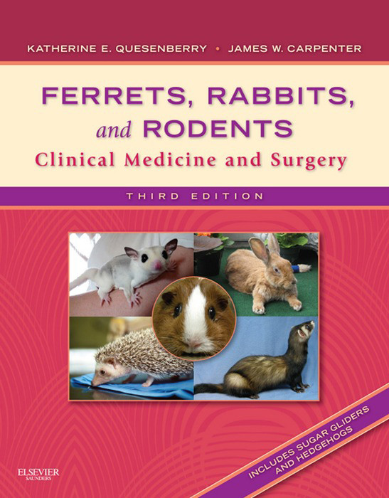 Cover Ferrets, Rabbits and Rodents