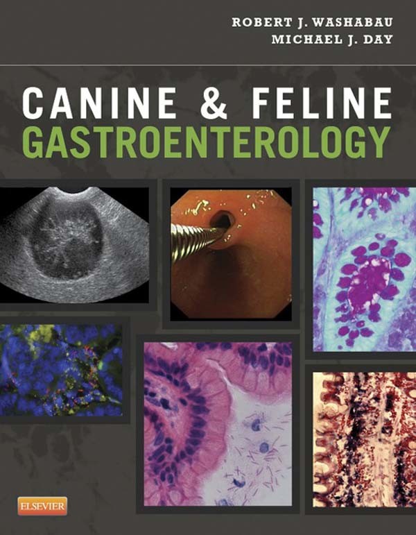 Cover Canine and Feline Gastroenterology