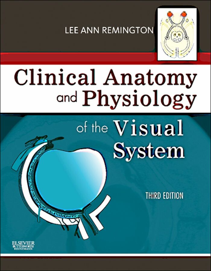 Cover Clinical Anatomy of the Visual System E-Book