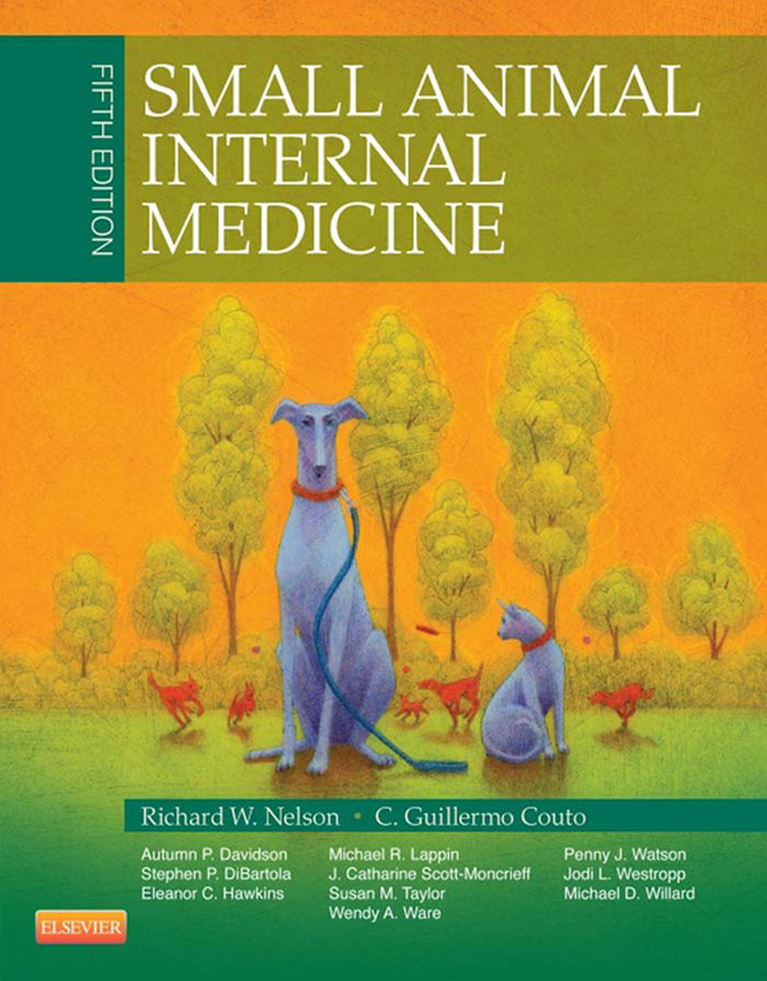 Cover Small Animal Internal Medicine - E-Book