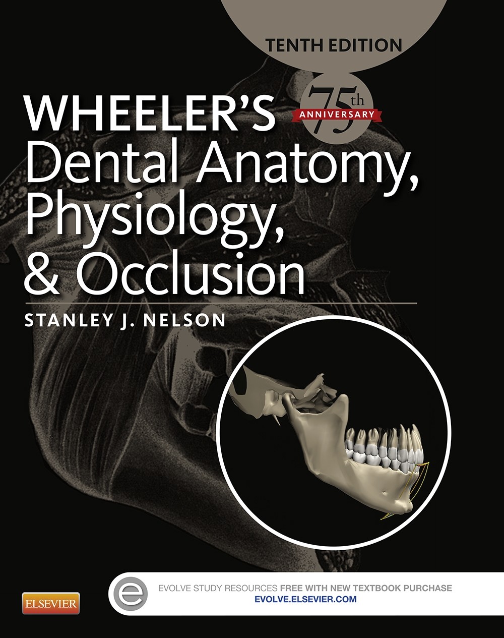 Cover Wheeler's Dental Anatomy, Physiology and Occlusion