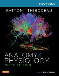 Cover Study Guide for Anatomy & Physiology