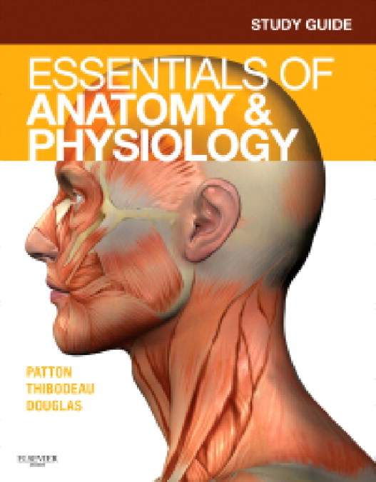 Cover Study Guide for Essentials of Anatomy & Physiology