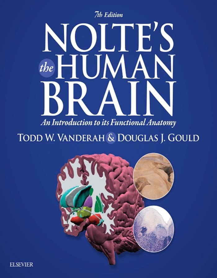 Cover Nolte's The Human Brain E-Book