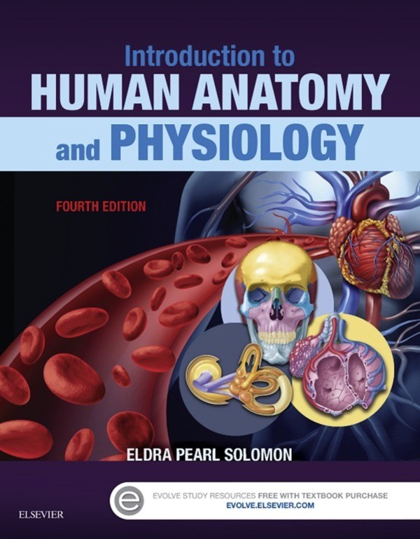 Cover Introduction to Human Anatomy and Physiology - E-Book