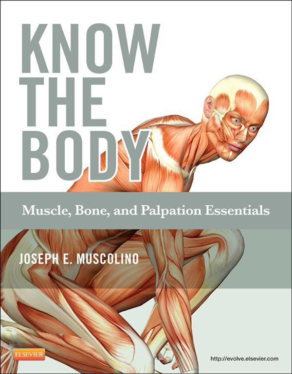 Cover Know the Body: Muscle, Bone, and Palpation Essentials - E-Book