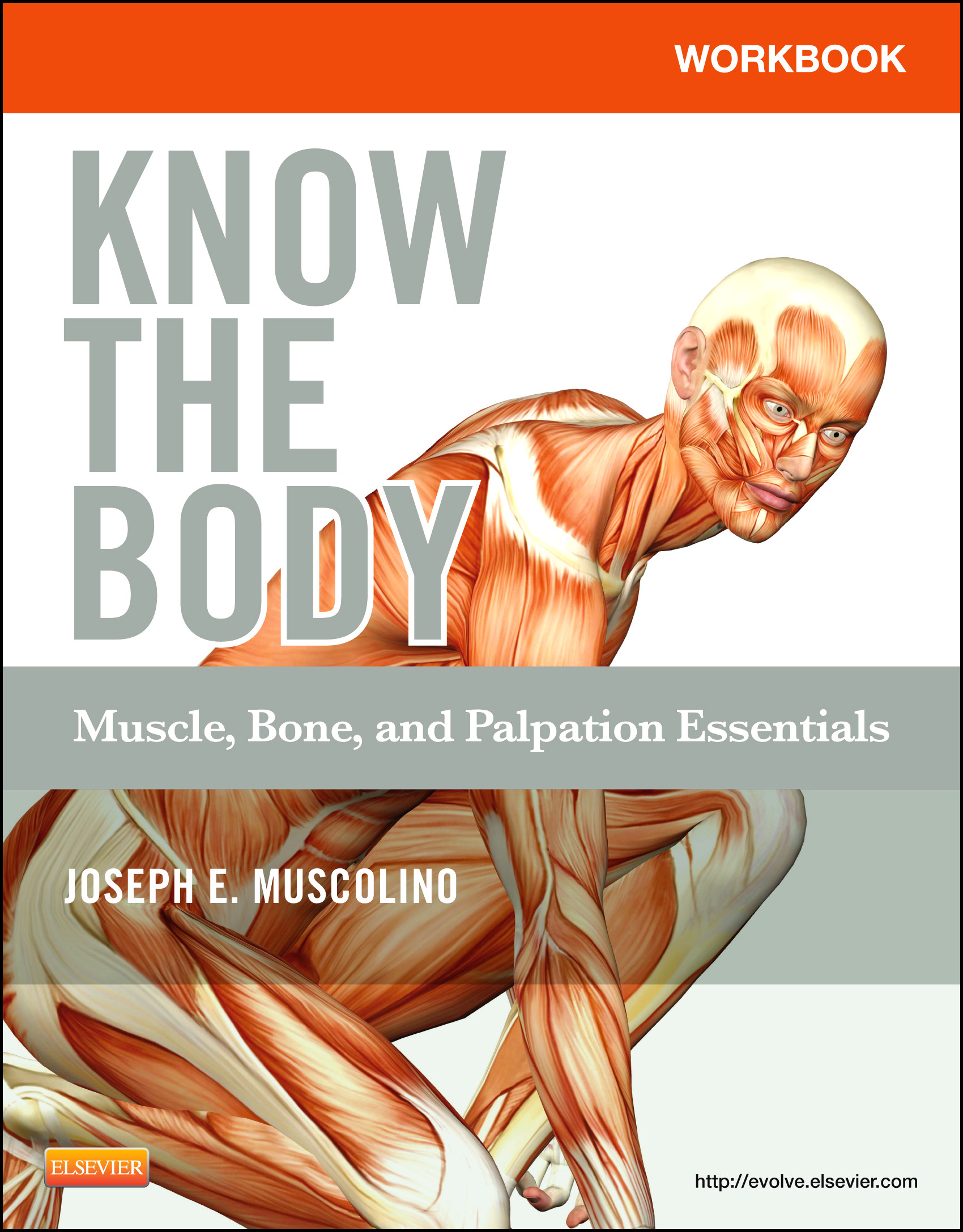 Cover Workbook for Know the Body: Muscle, Bone, and Palpation Essentials - E-Book