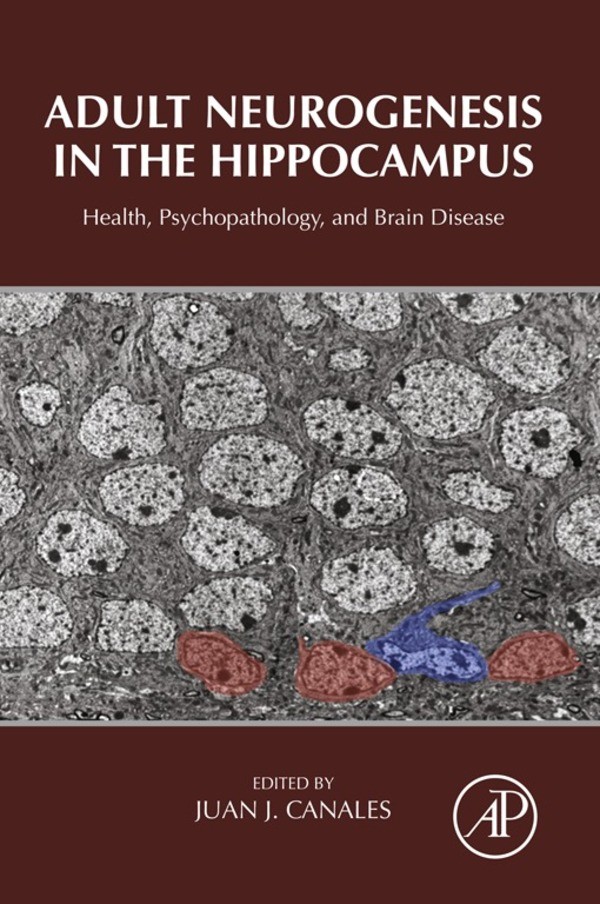Cover Adult Neurogenesis in the Hippocampus