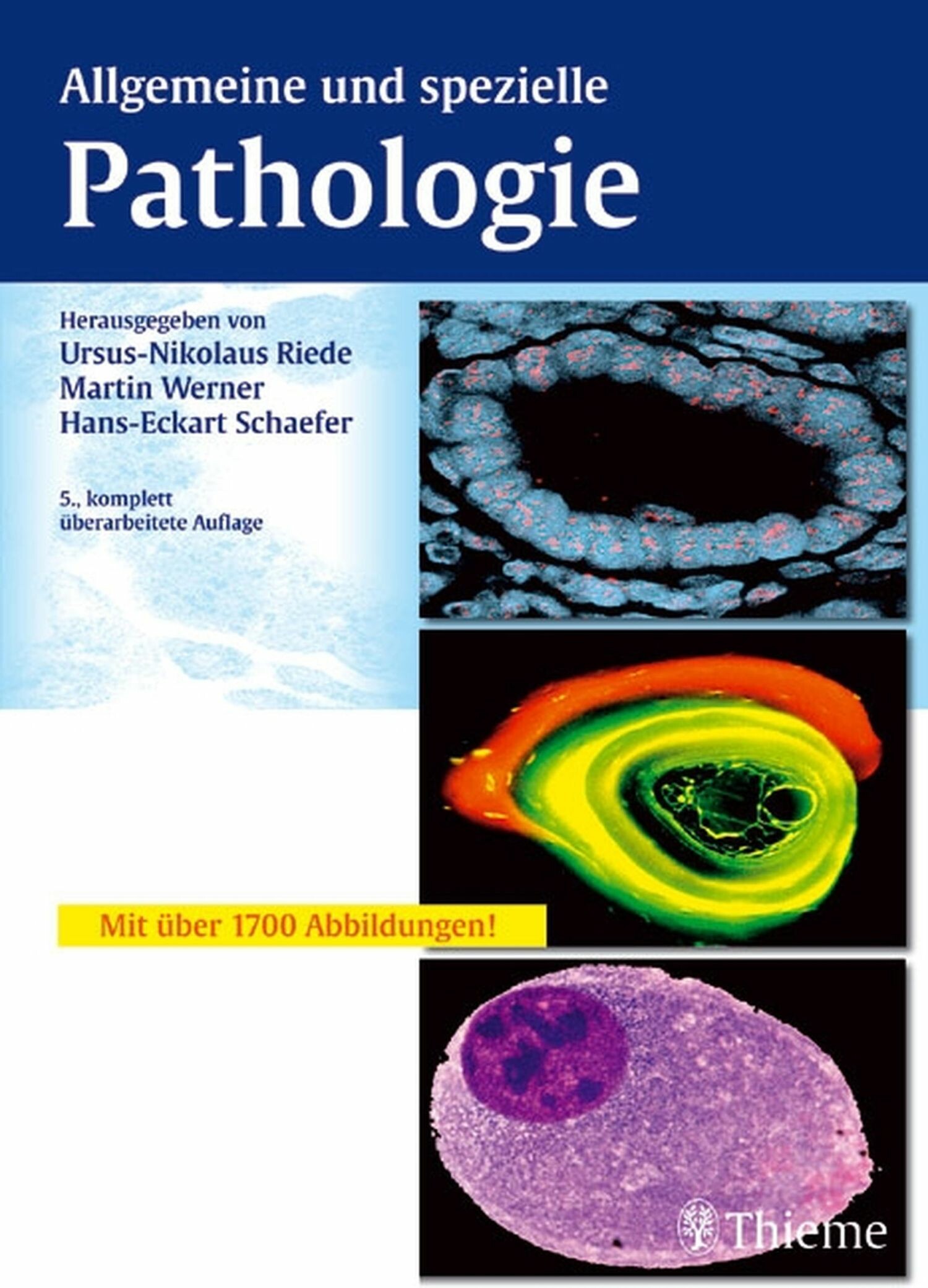 Cover Allgemeine und spezielle Pathologie
