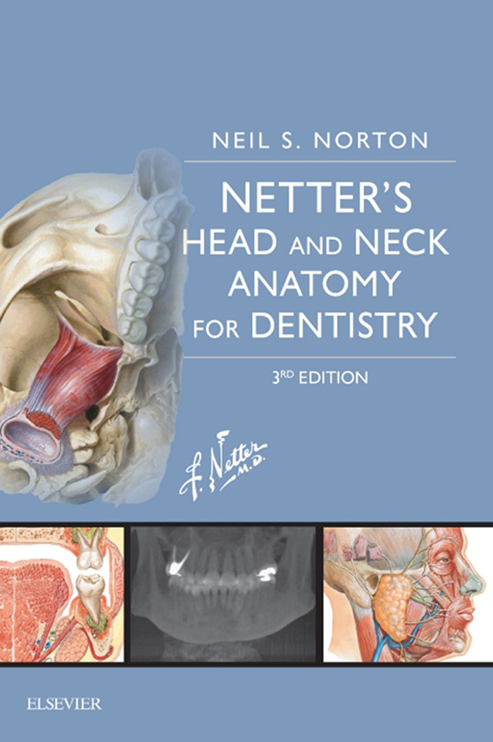 Cover Netter's Head and Neck Anatomy for Dentistry