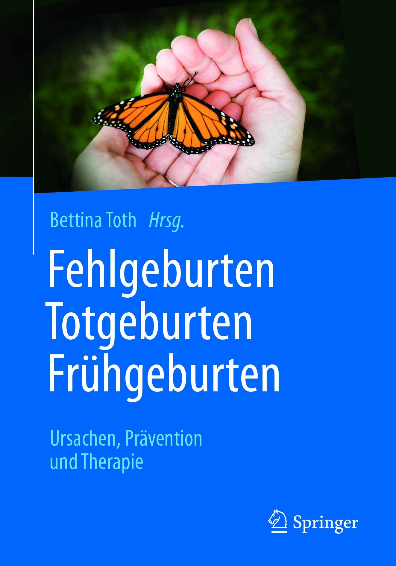 Cover Fehlgeburten Totgeburten Frühgeburten