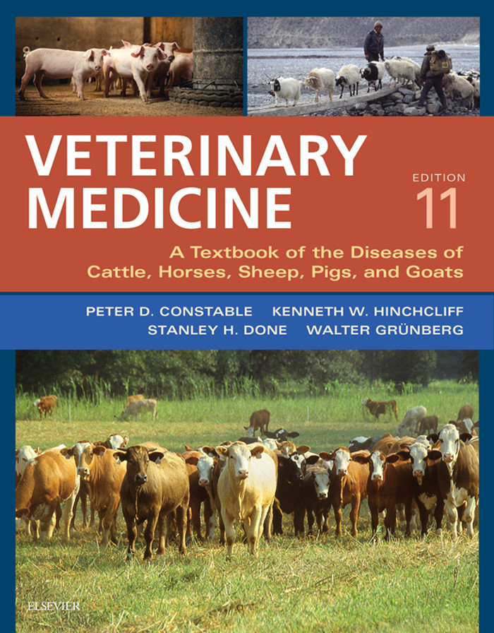 Cover Veterinary Medicine - E-BOOK