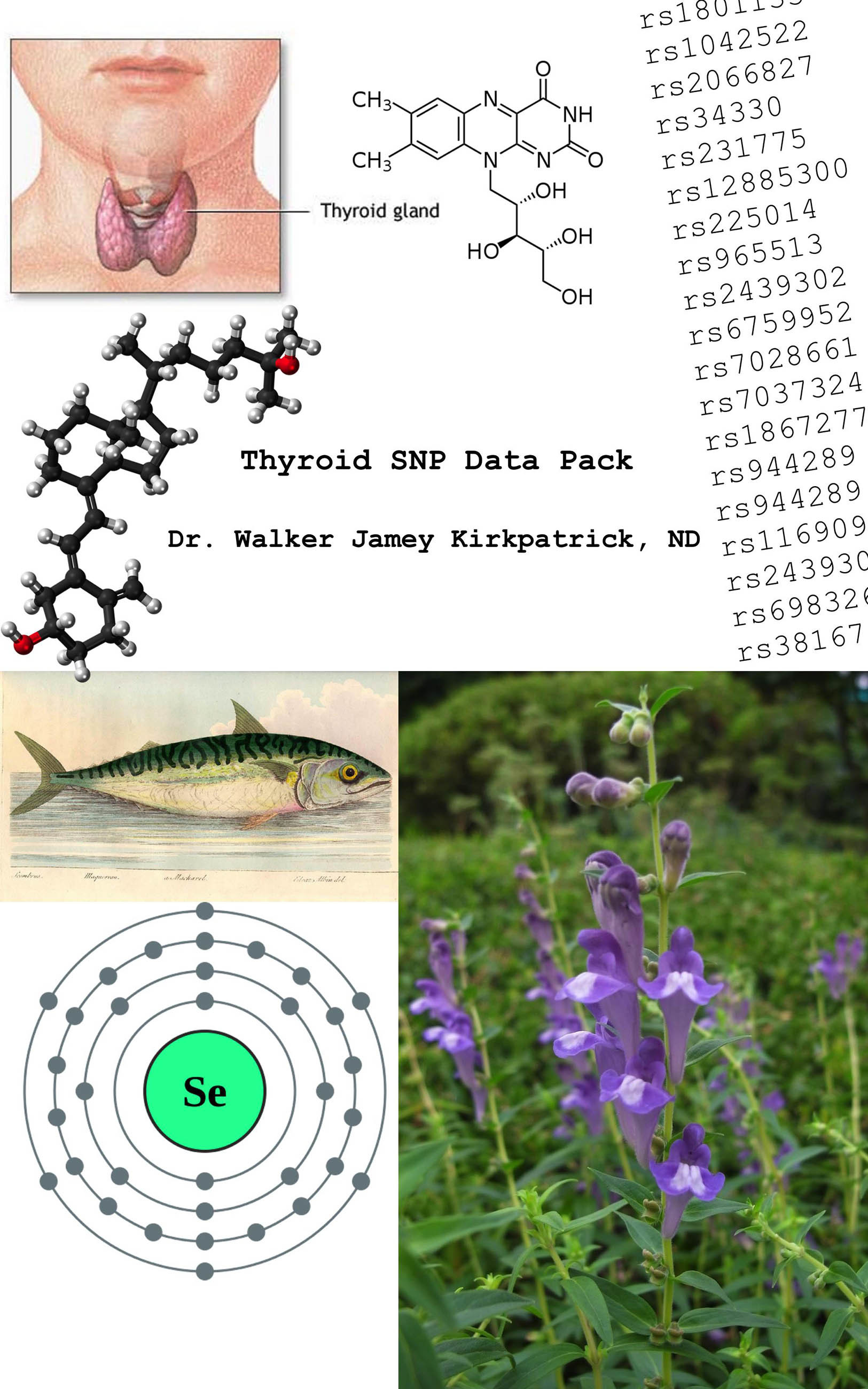 Cover Thyroid SNP Data Pack