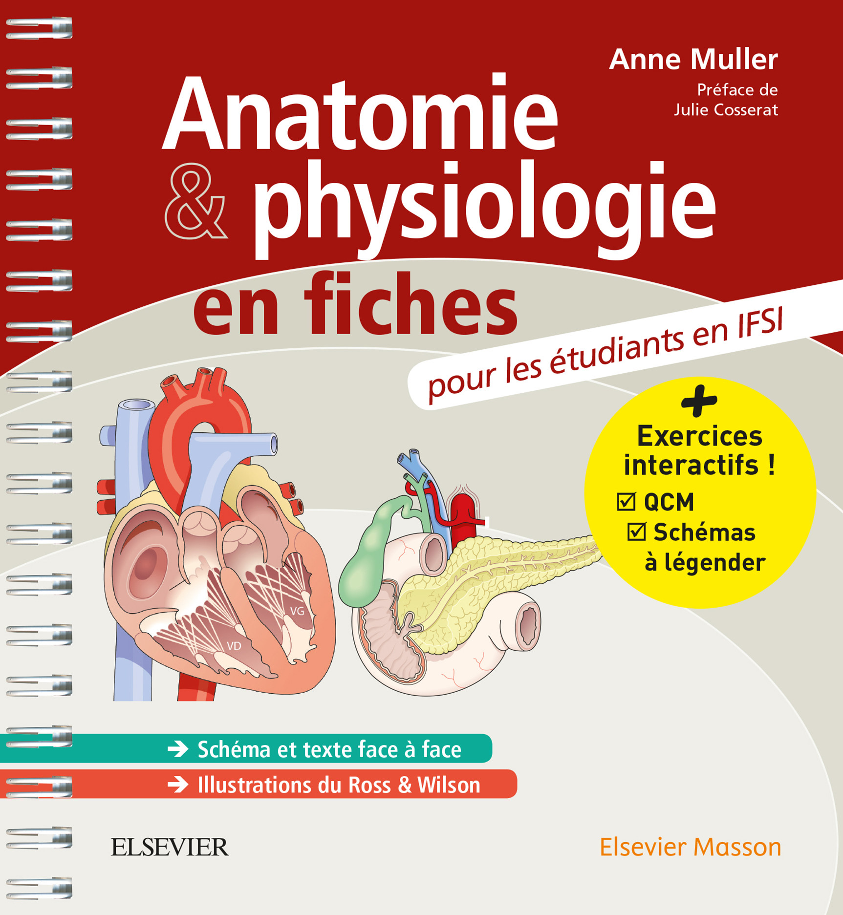 Cover Anatomie et physiologie en fiches