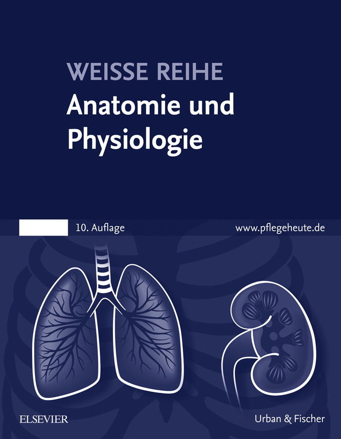 Anatomie und Physiologie