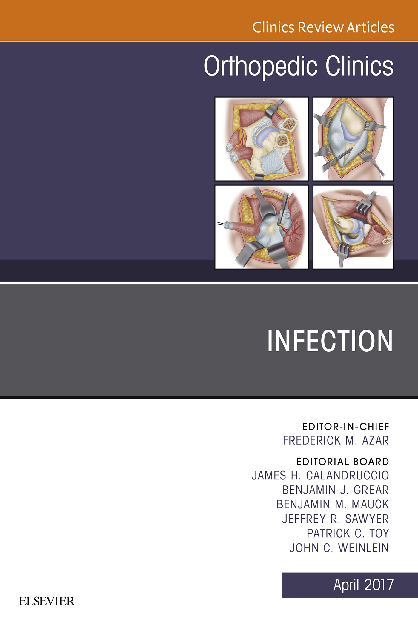 Cover Infection, An Issue of Orthopedic Clinics,