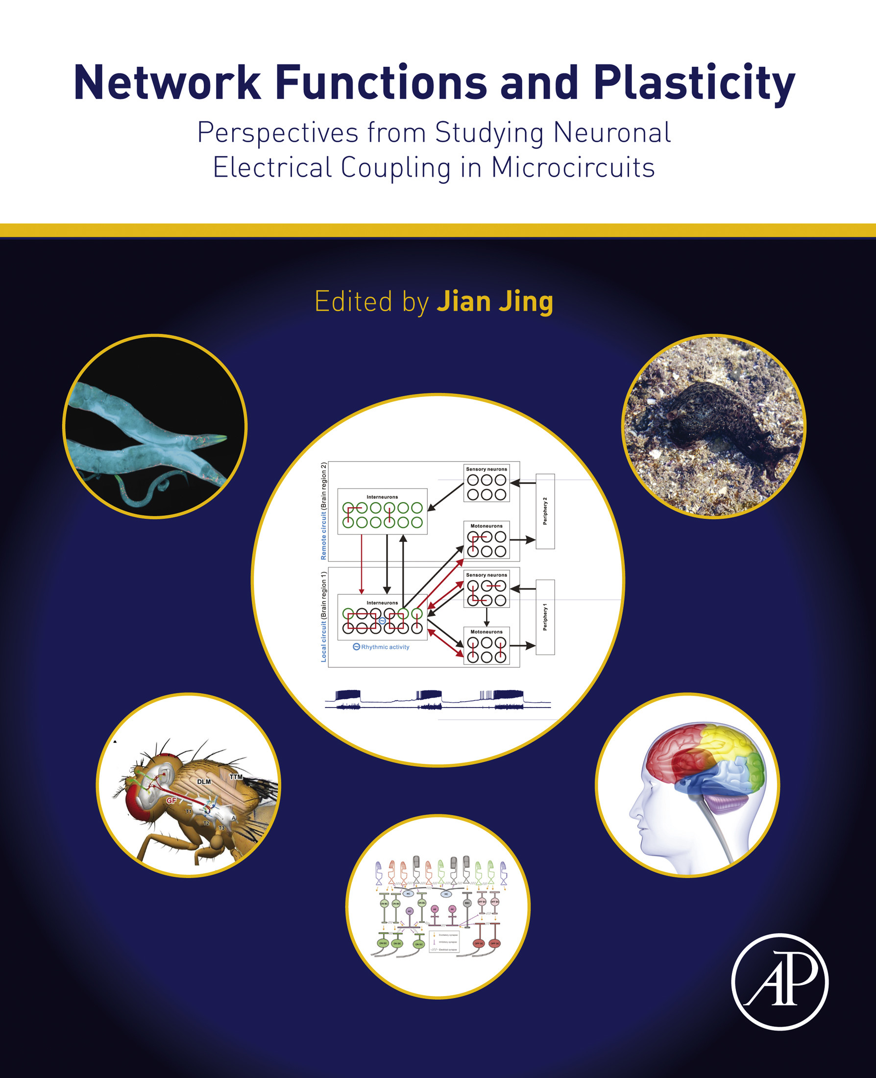 Cover Network Functions and Plasticity