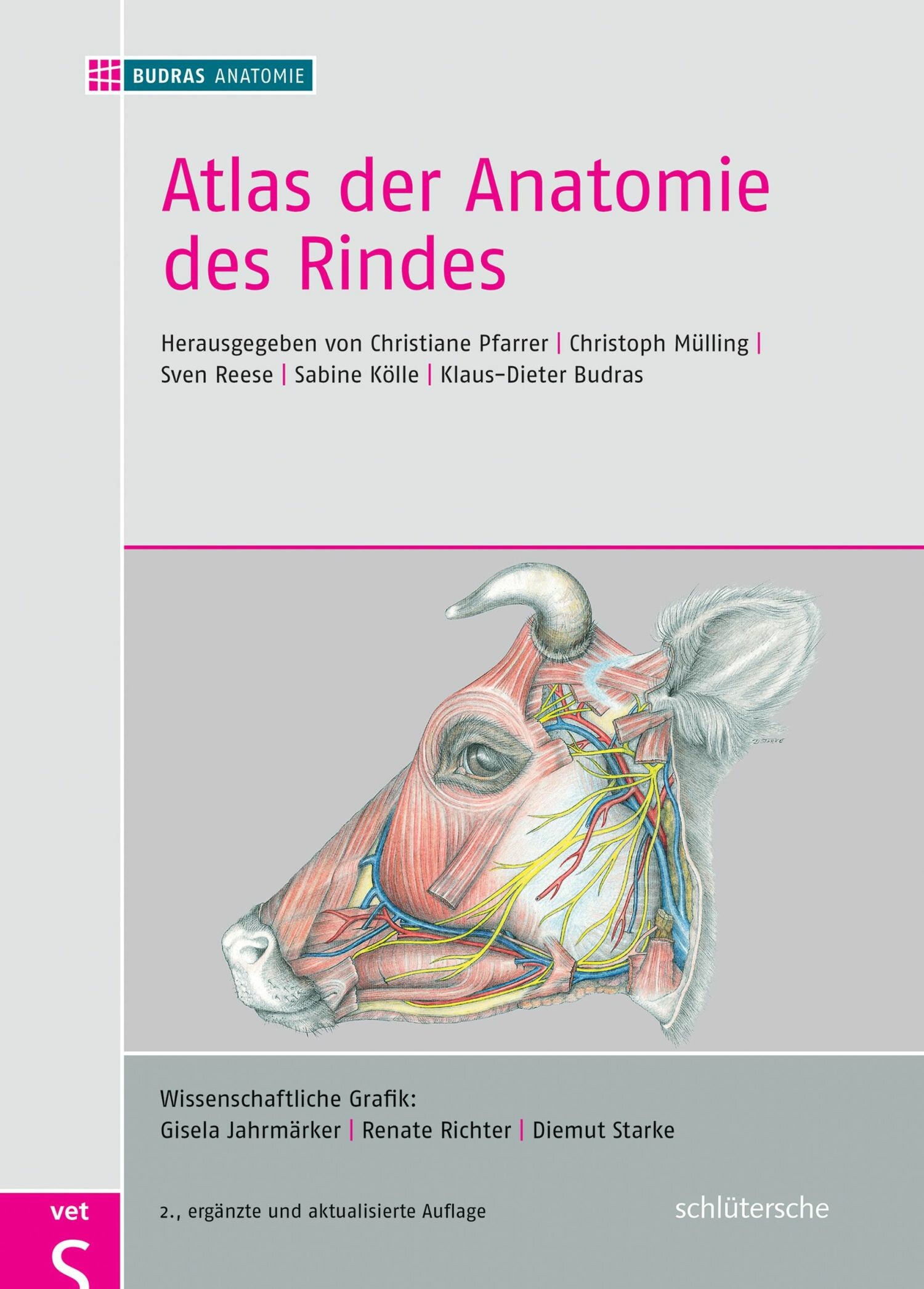 Cover Atlas der Anatomie des Rindes