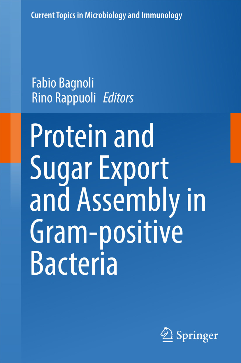 Cover Protein and Sugar Export and Assembly in Gram-positive Bacteria